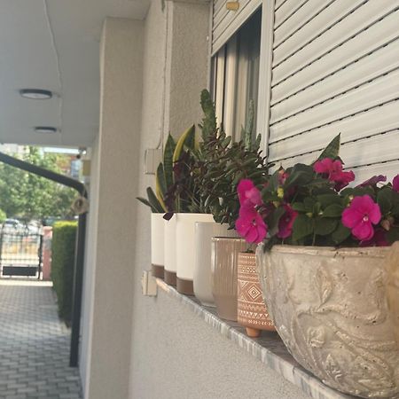 Vila Bolonja Struga Exterior foto