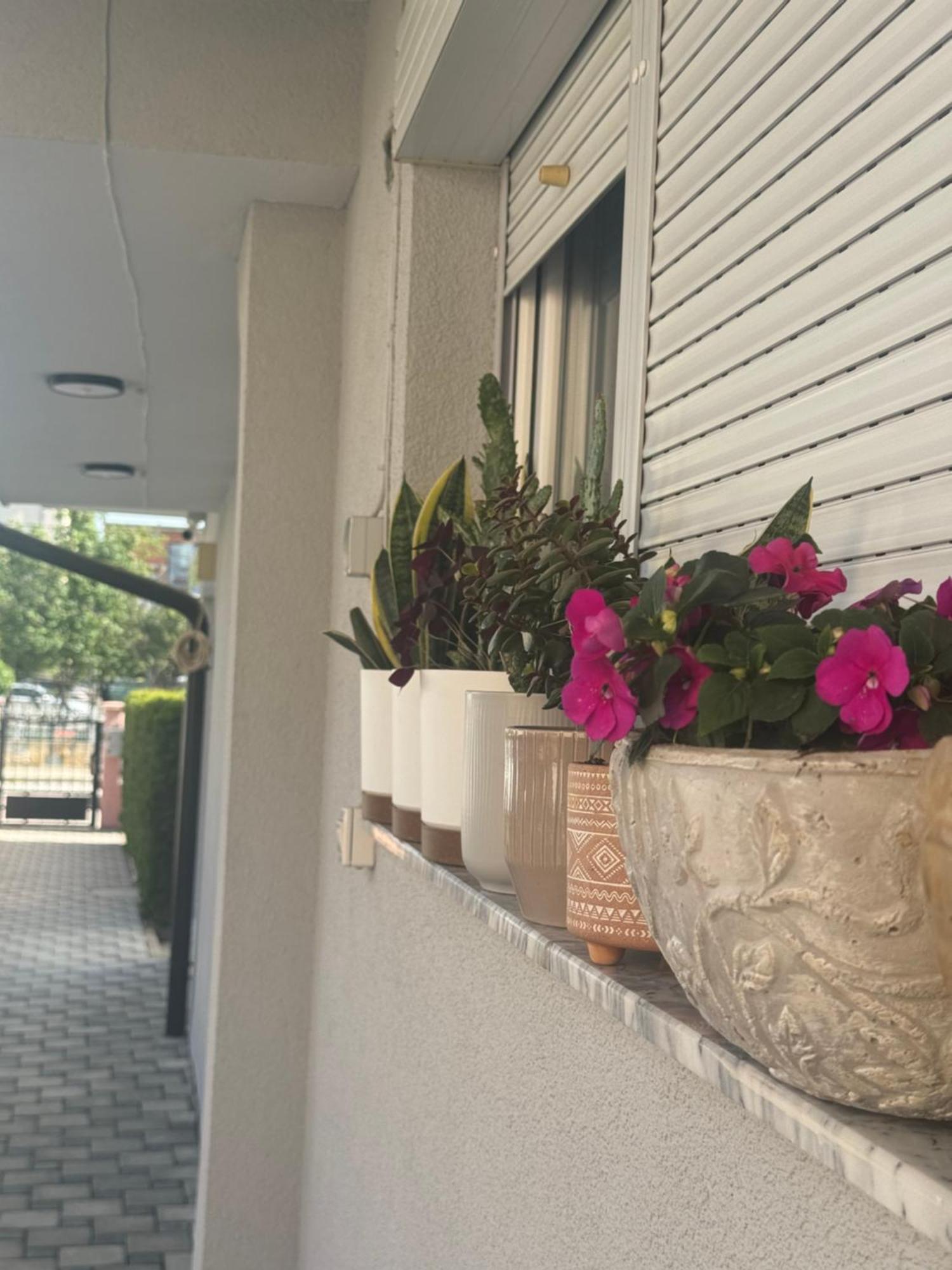 Vila Bolonja Struga Exterior foto